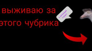 орнитомимчики