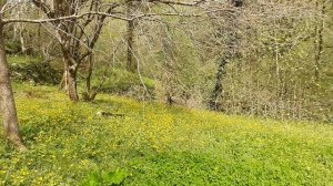 Весна в горах.