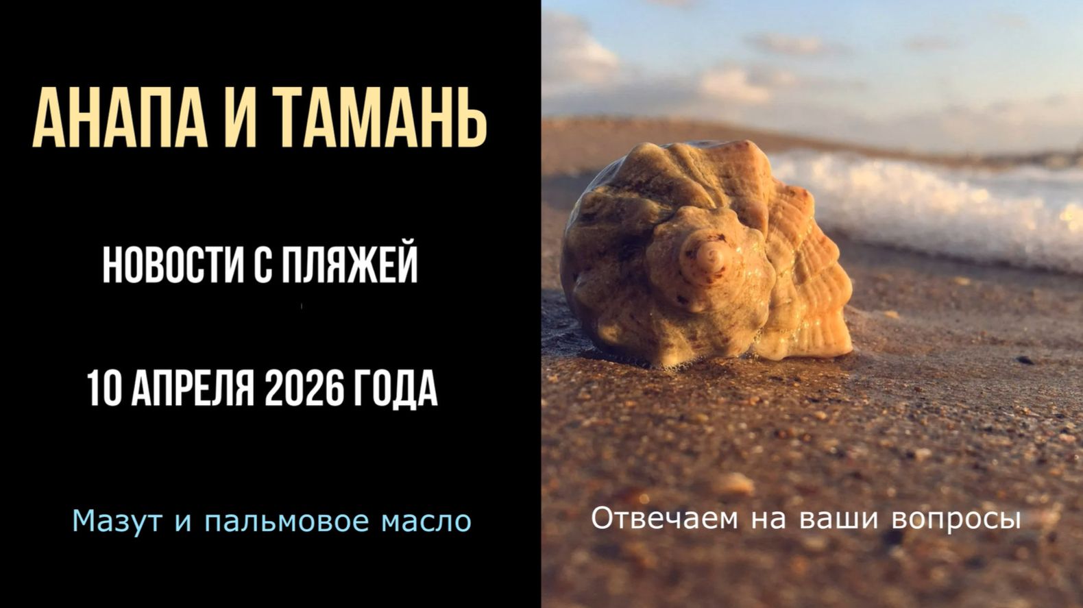 Анапа и Тамань, 10 апреля 2026 года, новости с пляжей, мазут и пальмовое масло