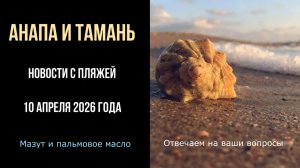 Анапа и Тамань, 10 апреля 2026 года, новости с пляжей, мазут и пальмовое масло