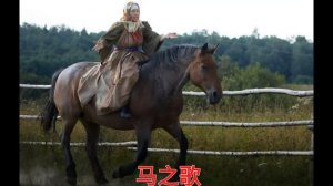 Песня "Конь"  на китайский мотив