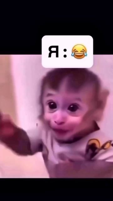 Когда всё потратила 🤣🙌🏼  

#блогертюмень #блогерыроссии #модельтюмень #тюменьинстаграмная #тюменьсит