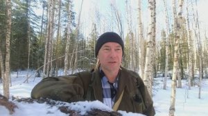 Минус один солонец разношу соль пока есть наст в тайге много снега зима рябчик пока не токует