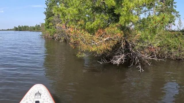 Прогулка по воде на сапборде. Озеро Талаково,