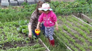 Июнь_2019_чозения