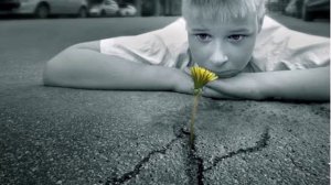 Притча о полевом цветке.