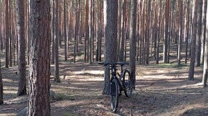 стрим катаем по яр байкалу на стриме!! кто хочет поддержать 89011714005 сбер коплю на штатив.