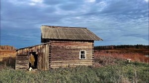 Жизнь в тайге. Готовимся к зиме. Планы на будущее.