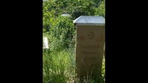 Т1аде рахъа Бакълъадерил умумул (БАТЛУХ)