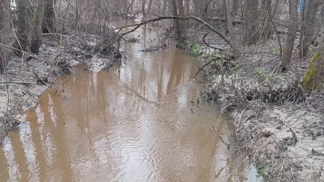 Весна в деревне.