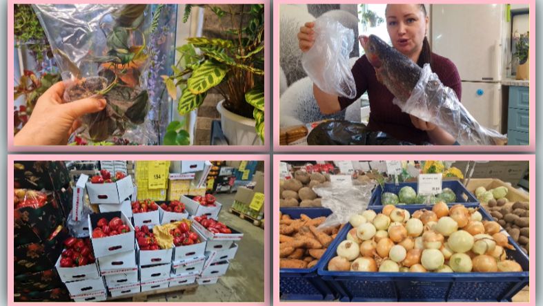 Продаю цветы. Поздравили подружку. Ужас повредили как руки. В поисках луковой шелухи.