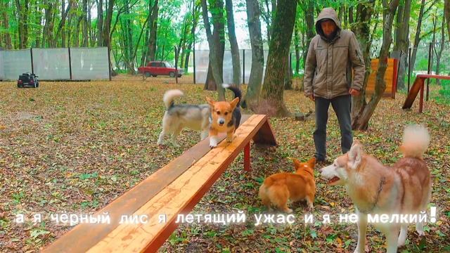 Кекс-я злодей (с субтитрами)