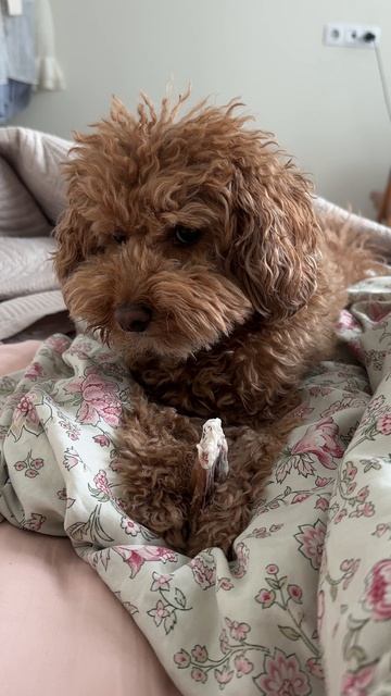 Сколько ни говори - бесполезно 😅