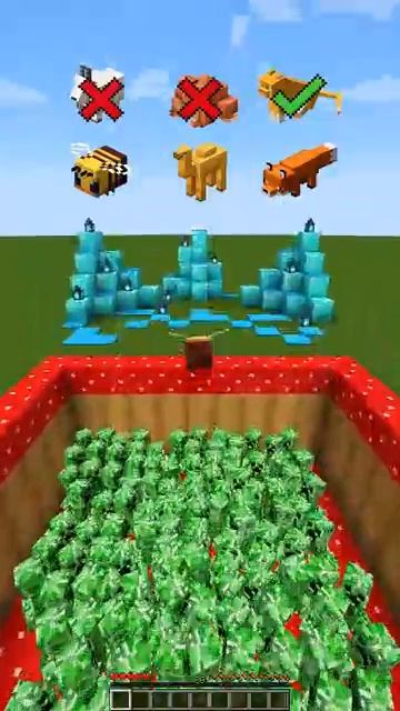 кто выиграли чемпионат мобы Майнкрафт 1 часть