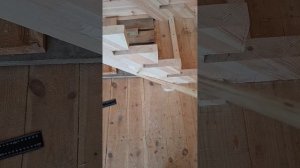 1000055680.mp4 (Собака наблюдает за устройством лестницы на 2-ой этаж в доме А-фрейм)