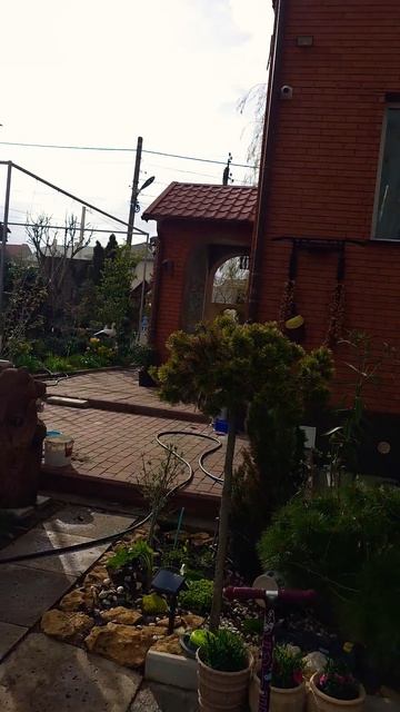 Редкое явление 🌈 #shorts #lipovan #recipe #rezepte worlds