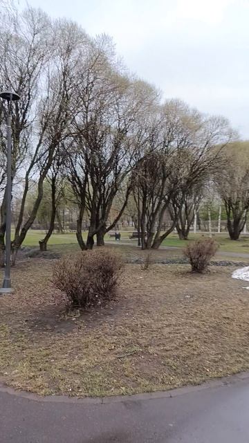 Парк Печатники, Москва: вход в парк и прогулка по главной аллее 🌳🚶♂️ 35 секунд