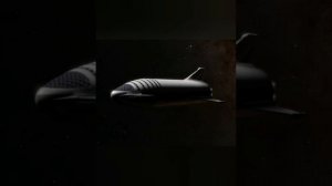 Экипаж (моё личное стихотворение)