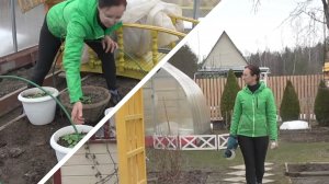 6 соток 2 апреля 2026 года. Хроника. Подрезала лаванду. Обработала домик. Рассадила порей на авось))