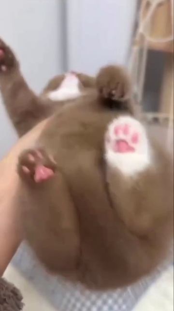 Он где-то потерял носок