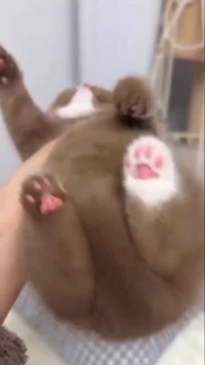 Он где-то потерял носок