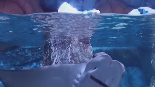 Парк развлечений Vinpearl в Нячанге, Вьетнам