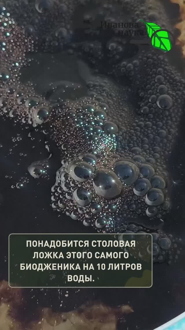 ☁️ Всего 1 ЛОЖКА — и почва станет как ПУХ! Секрет опытных садоводов. Забудьте про твердую землю!
