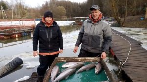 11.04.26 г. РК Волна.