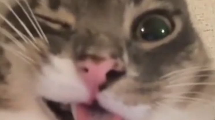 Попил Плей тайм