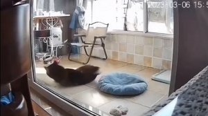 Я каждое утро😣))