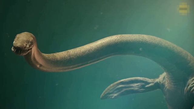 Ужасающий Юрский морской монстр только что найден в США.