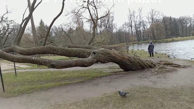 ПРОГУЛКА.  ЧАСТЬ III.