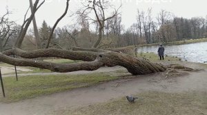 ПРОГУЛКА.  ЧАСТЬ III.