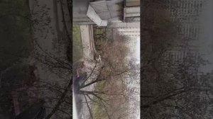 подписка взаимно