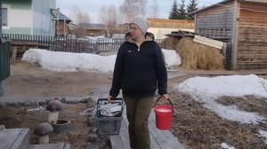 11-04-2026 А когда мне это надоест?  Хозяйство не дает спать 🤦.