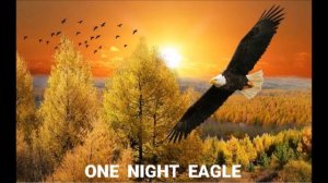 ONE  NIGHT  EAGLE  без  потерь  акустика  диктофон