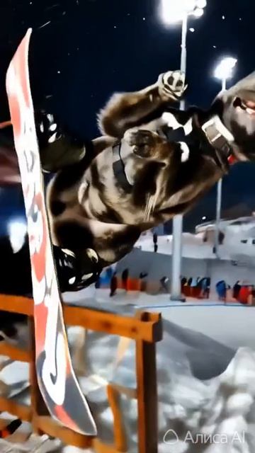 Краш освоил Сноуборд? Или ИИ!?