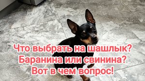 Что выбрать на шашлык? Баранина или свинина? Вот в чем вопрос🤔