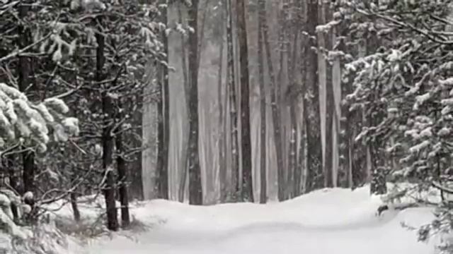 Саша ПСТ, Мать Тереза - Моя вера