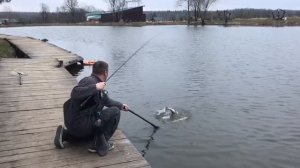 утренние поимки форели