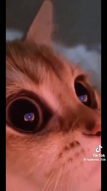 Видео не моё!!! Но у меня тоже 💕