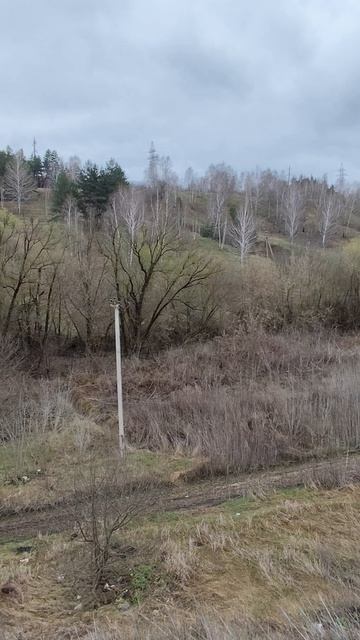 гараж губкина