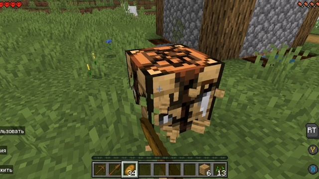 Маинкрафт 1 часть грэйджэр