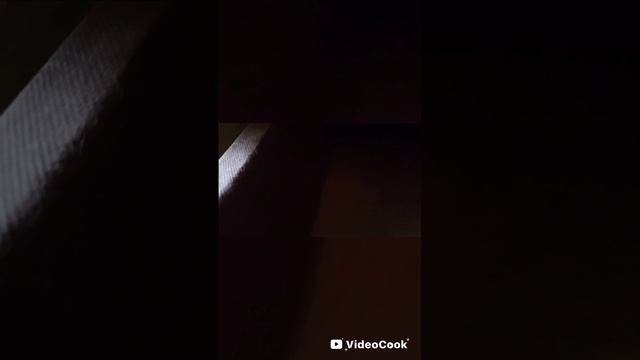 Работа - Дом
Дом - Работа.