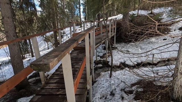 Бажуково весной