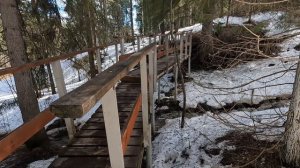 Бажуково весной