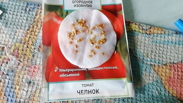 Семена томатов проклюнулись с космической скоростью