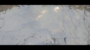 запуск форели