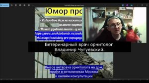 Юмор про птиц. Выпуски  с 71 по 75-й.