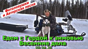 Едем с Гердой к зимовью Весенние дела 09 04 26